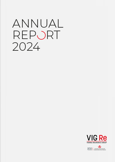 VIG Re Annual Report 2024