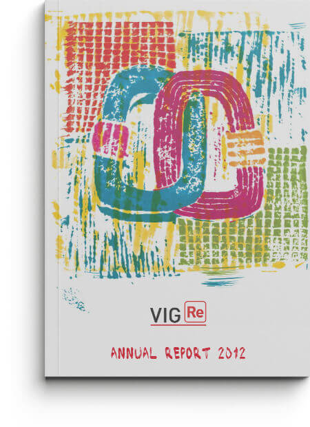 VIG Re Annual Report 2012