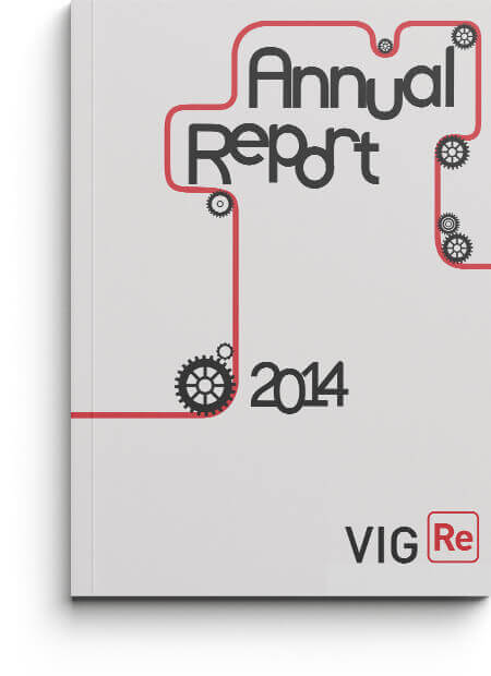 VIG Re Annual Report 2014