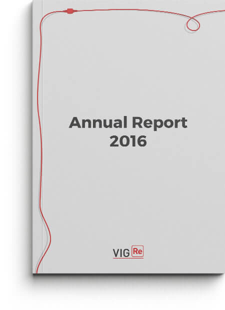 VIG Re Annual Report 2016