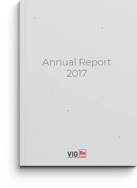 VIG Re Annual Report 2017