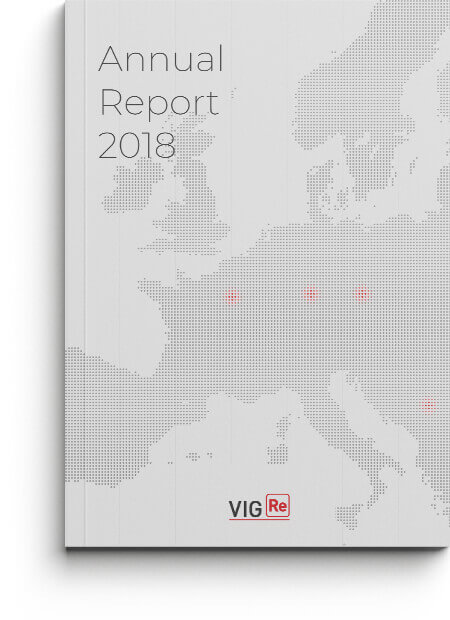 VIG Re Annual Report 2018
