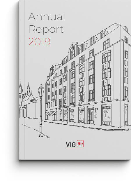 VIG Re Annual Report 2019