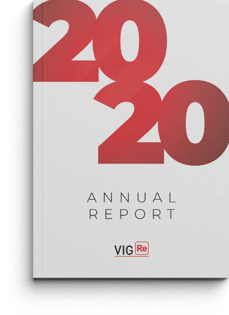VIG Re Annual Report 2020