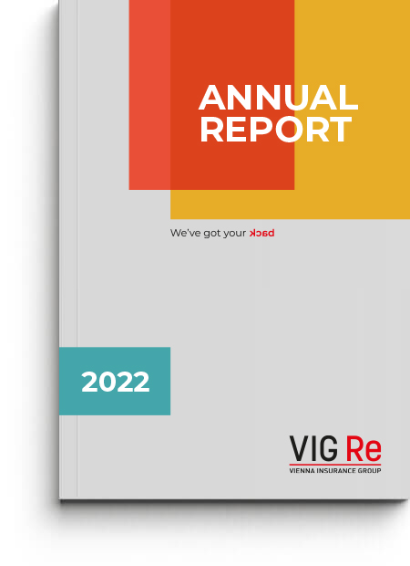 VIG Re Annual Report 2022